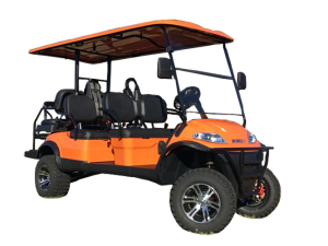 golf cart repair service, jupiter cart repair pickup, golf cart inspection