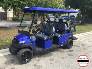 golf cart maintenance, jupiter golf cart service, battery service