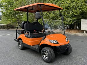 golf cart maintenance, jupiter golf cart service, battery service