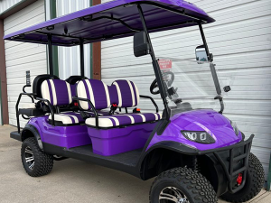 jupiter golf cart repair, golf cart service, mobile repair